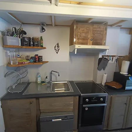 公寓 Duplex Argentiere, 50m2, 6 Pers, Idealement Place *